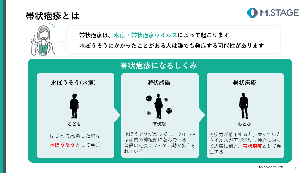 【スライド】帯状疱疹について-2