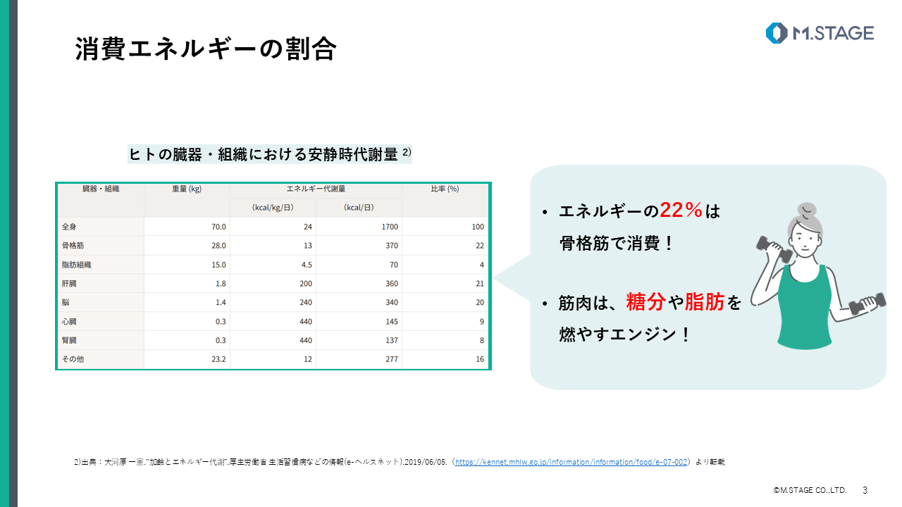 【スライド】運動習慣について-3